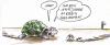 Cartoon: ... (small) by GB tagged animals tiere