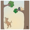 Cartoon: Barking up the wrong tree (small) by Timo Essner tagged cats,dogs,trees,barking,up,the,wrong,tree,katzen,hunde,bäume,den,falschen,baum,anbellen,sprichwörter,tiere,sayings,animals,cartoon,timo,essner