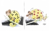 Cartoon: Chamerkeleon (small) by Paolo Calleri tagged angela merkel bundeskanzlerin atompolitik schwarz gelb laufzeitverlaengerung akw moratorium japan erdbeben katastrophe tsunami