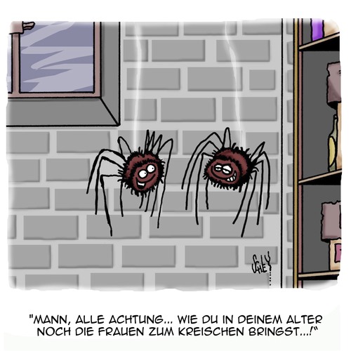 Cartoon: In DEINEM Alter...?! (medium) by Karsten Schley tagged alter,frauen,tiere,spinnen,panik,angst,arachnophobie,alter,frauen,tiere,spinnen,panik,angst,arachnophobie