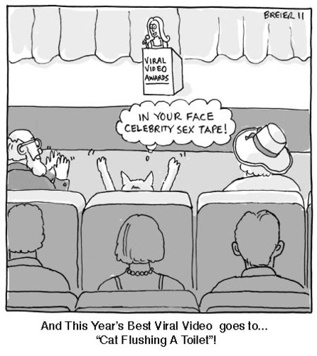 Cartoon: Viral Video (medium) by noodles tagged awards,cats,computer,internet,tube,you,videos,viral