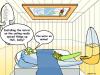 Cartoon: kinky keets (small) by noodles tagged parakeets,mirror,ceiling,pets