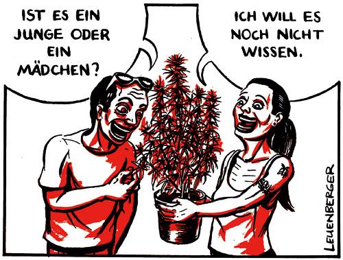 Cartoon: junge oder mädchen (medium) by Leuenberger tagged junge,mädchen,drogen,grass,jugend,nachwuchs,kinder,schwanger,junge,mädchen,nachwuchs,kinder,paar,pärchen,beziehung,mann,frau,pflanze,frage,überraschung,schwangerschaft,eltern,cannabis,hanf,blätter,blüten,droge,sucht