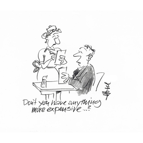 Cartoon: Not Expensive Enough (medium) by helmutk tagged business
