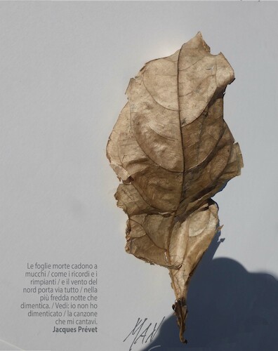 Cartoon: le foglie morte (medium) by Enzo Maneglia Man tagged illustrazioni,fotografia,by,maneglia