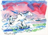 Cartoon: Skating in the Arctic Ocean (small) by Kestutis tagged winter,sports,olympic,skating,arctic,ocean,animal,nature,polar,bear,lights,aurora,borealis,sochi,2014,kestutis,lithuania