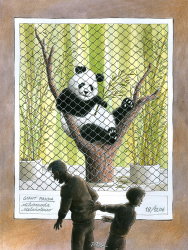 Cartoon: Limited copy (medium) by ozbek tagged panda