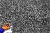 Cartoon: same (small) by Dirk Berrens tagged das,gleiche,always,the,same