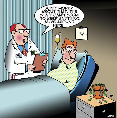 Cartoon: Dying plant (medium) by toons tagged diognosis,dying,pot,plant,indoor,plants,neglecting,doctors,hospitals,surgery,diognosis,dying,pot,plant,indoor,plants,neglecting,doctors,hospitals,surgery