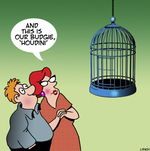 Cartoon: Houdini (medium) by toons tagged budgie,houdini,escape,artist,birds,pets,birdcage,budgie,houdini,escape,artist,birds,pets,birdcage