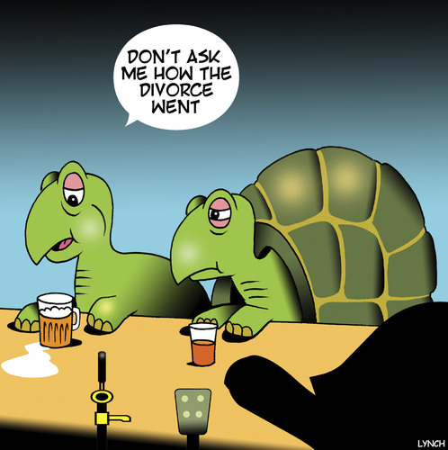 Cartoon: She got the house (medium) by toons tagged turtles,tortoise,animals,divorce,settlement,tortoise,turtles,animals,divorce,settlement
