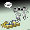Cartoon: I smell a rat (small) by toons tagged rats,mousetrap,cheese,hygene