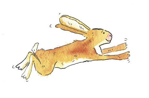 Cartoon: Hase Osterhase (medium) by sabine voigt tagged kaninchen,frühling,glauben,haustier,einer,ostern,osterhase,hase