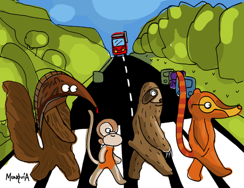 Cartoon: Watch out 4 animals on the Road! (medium) by Munguia tagged cover,album,famous,beatles,the,road,abbey,animals,wild,mamals,atropellos,animal,runover