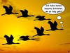 Cartoon: Zugvögel (small) by thalasso tagged kranich,zugvogel,fliegen,verirren,weg,finden,suchen,navi
