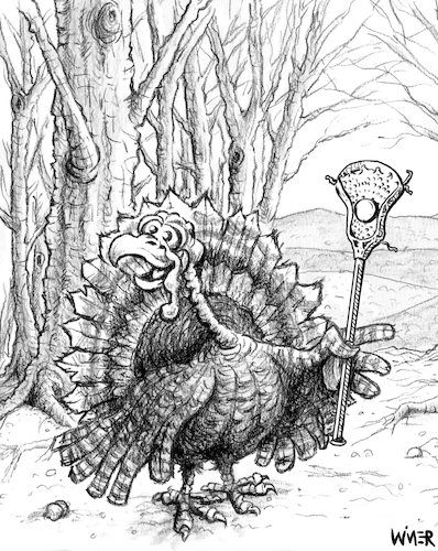Cartoon: Turkey Lacrosse (medium) by karlwimer tagged sports,cartoon,thanksgiving,usa,lacrosse,lax,turkey