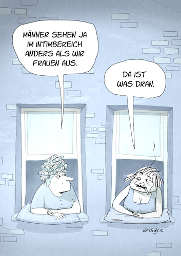 Cartoon: Intimbereich (medium) by droigks tagged frauen,männer,sexualität,sekundäre,geschlechtsmerkmale,nachbarinnen,geschlecht,unterschied,andersartigkeit,maskulin,feminin,droigks,intimität,intimbereich,frauen,männer,sexualität,sekundäre,geschlechtsmerkmale,nachbarinnen,geschlecht,unterschied,andersartigkeit,maskulin,feminin,droigks,intimität,intimbereich