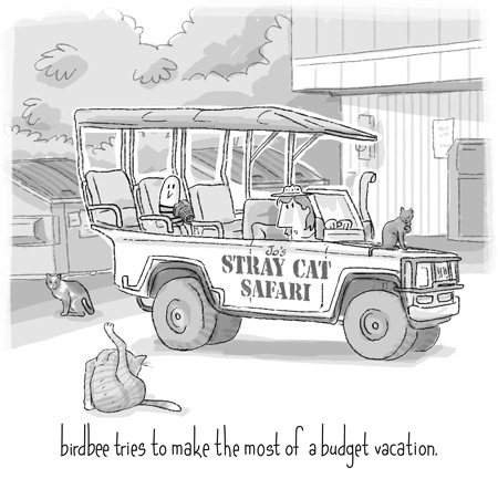 Cartoon: birdbee - vacation (medium) by birdbee tagged birdbee,vacation,holiday,safari,cats,city,urban