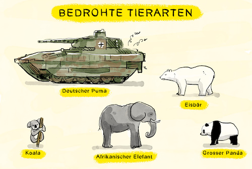 Cartoon: Bedrohte Tierarten (medium) by leopold maurer tagged artenvielfalt,artensterben,puma,panzer,schrott,probleme,bundeswehr,kauf,aussetzen,nachkauf,kriegstauglich,marder,nato,einsatz,elefant,panda,eisbaer,koala,leopold,maurer,cartoon,karikatur,artenvielfalt,artensterben,puma,panzer,schrott,probleme,bundeswehr,kauf,aussetzen,nachkauf,kriegstauglich,marder,nato,einsatz,elefant,panda,eisbaer,koala,leopold,maurer,cartoon,karikatur