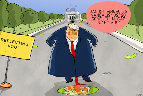 Cartoon: Reflecting Pool (medium) by leopold maurer tagged washington,reflecting,pool,trump,verschwörung,vandalismus,pfusch,gerichte,entscheidung,usa,präsident,leopold,maurer,cartoon,karikatur,washington,reflecting,pool,trump,verschwörung,vandalismus,pfusch,gerichte,entscheidung,usa,präsident,leopold,maurer,cartoon,karikatur