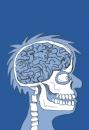 Cartoon: Brain X-Ray (small) by Ellis Nadler tagged profile xray head skull brain spine teeth anatomy medical hospital fracture bones