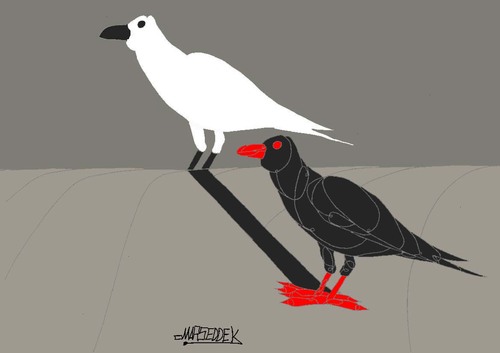 Cartoon: Crow (medium) by omar seddek mostafa tagged smiling,cat