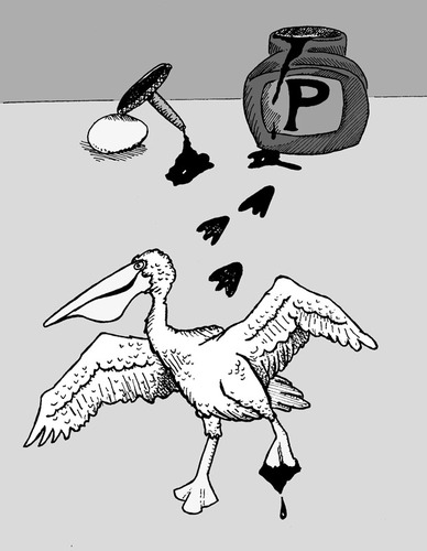 Cartoon: Pelican - in the Ink (medium) by David_Bromley tagged pelikan,ink,pelican,india,egg