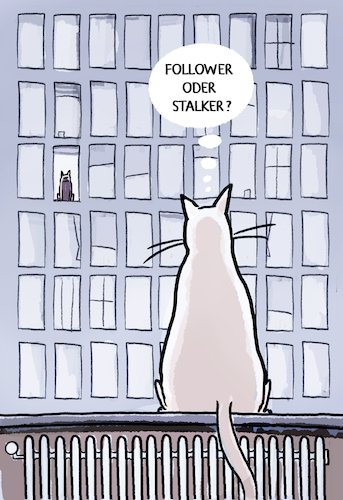 Follower...