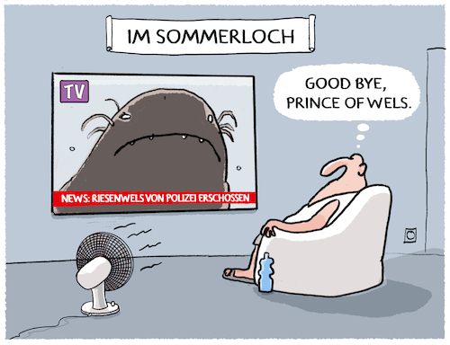 Sommerloch und Hitzewelle... Sommerloch und Hitzewelle...