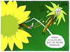 Cartoon: Stechpalme (small) by markus-grolik tagged baerbock,habeck,boris,palmer,grüne,parteiausschluss,rassismus,cancel,culture