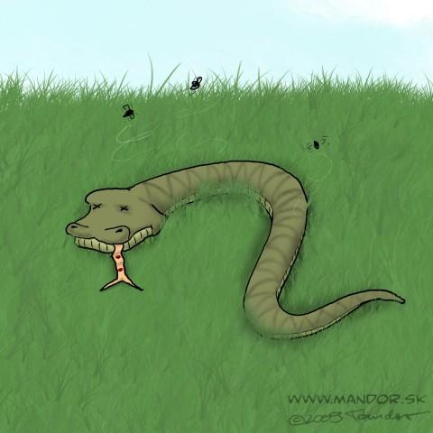 Cartoon: Stupid accident (medium) by Mandor tagged dead,snake,accident