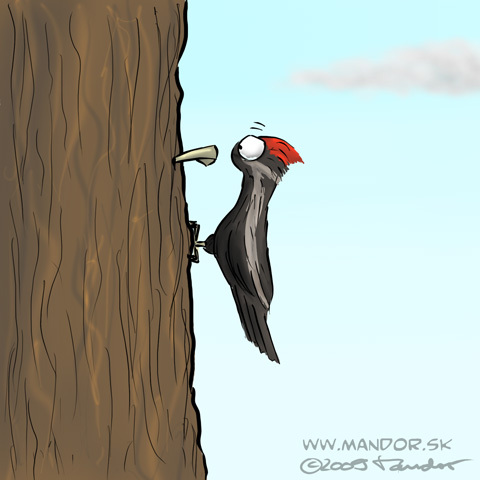 Cartoon: Woodpecker (medium) by Mandor tagged woodpecker