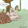 Cartoon: Eden (small) by Mandor tagged eden,snake,eva,apple