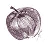 Cartoon: apple 1 (small) by pjg tagged apple,fruit,apfel,frucht,green,yellow,red,sweet,sour,grün,gelb,rot,süß,sauer,picture,image,drawing,karikatur,zeichnung,bild,pjg