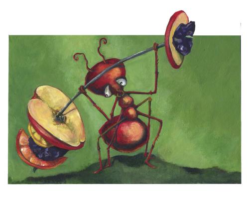 Cartoon: ameise-ant (medium) by Lissy tagged illustration,animals,insekt,ameise,frucht,stark,character,bodybuilding,fitness