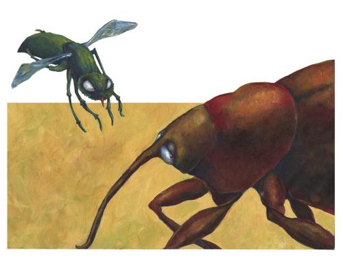 Cartoon: mordfliege (medium) by Lissy tagged illustration,animals,insekt,mordfliege,käfer,natur,angriff