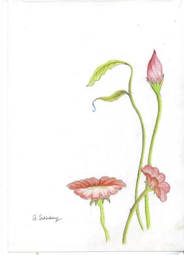 Cartoon: 65 (medium) by aytrshnby tagged flower