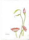 Cartoon: 65 (small) by aytrshnby tagged flower