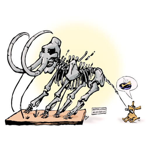 Cartoon: Mammoth bone dog food (medium) by hopsy tagged mammoth,pet,bone,food,vector,artwork