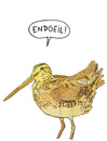 Cartoon: BEKASSINE-Vogel des Jahres 2013 (small) by wf-artwork tagged vogel,des,jahres,2013,bekassine,schnepfe