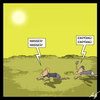 Cartoon: Empfang (small) by Anjo tagged handy,empfang,wüste,wasser,iphone