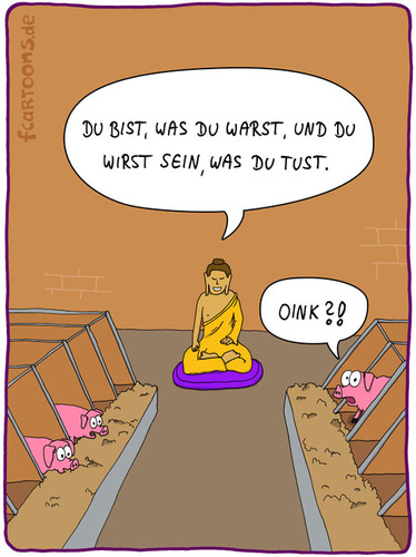 Cartoon: im Stall (medium) by Frank Zimmermann tagged buddha,schwein,religion,karma,oink