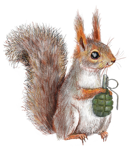 Cartoon: Dangerous squirrel (medium) by amorroz tagged squirrel