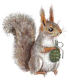 Cartoon: Dangerous squirrel (small) by amorroz tagged squirrel