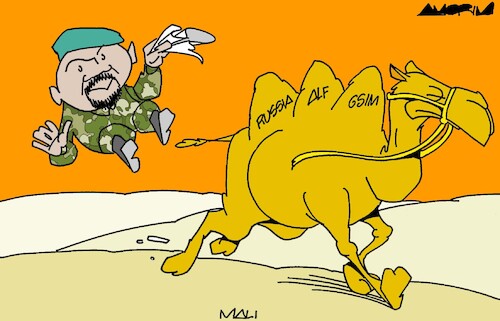 Cartoon: Civil War (medium) by Amorim tagged sahel,mali,assimigoita,sahel,mali,assimigoita