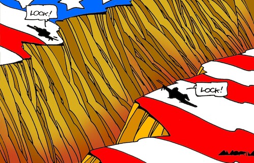 Polarization in USA