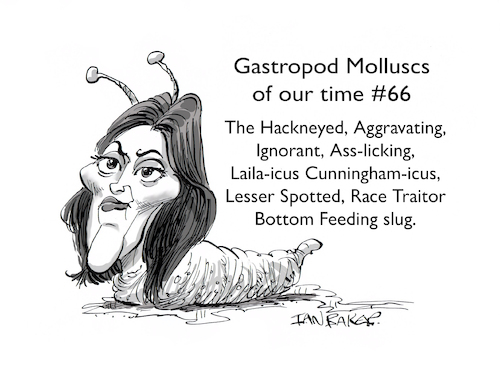 Cartoon: Laila Cunningham (medium) by Ian Baker tagged laila,cunningham,reform,uk,nigel,farage,corruption,race,hate,division,slug,mollusc,politics,politician,mayor,candidate,ian,baker,caricature,cartoon,satire,parody,humour,comedy