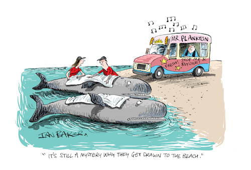 Cartoon: Mr Plankton cartoon (medium) by Ian Baker tagged mr,plankton,whales,sea,coast,beach,beached,rescue,ian,baker,cartoon,caricature,spoof,parody,humour,comedy,oldie,magazine,gag,ice,cream,van