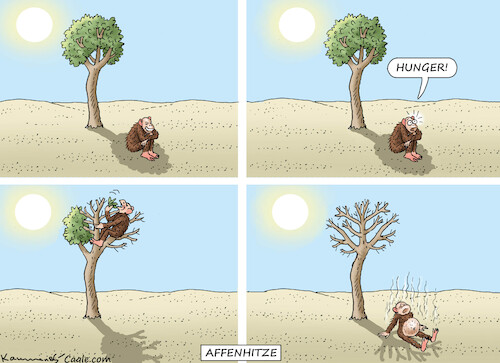 AFFENHITZE