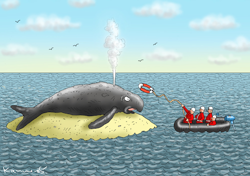 Cartoon: WAL-RETTUNGSEINSATZ (medium) by marian kamensky tagged wal,rettungseinsatz,wal,rettungseinsatz